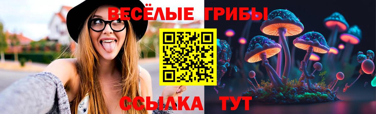 Псилоцибиновые грибы ЛСД  Вход с VPN  Чебаркуль 